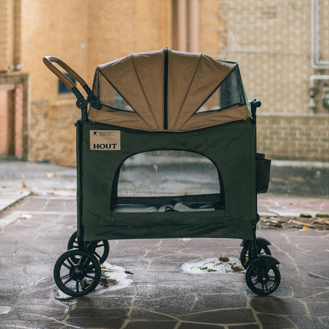 Does Your Dog Actually Need a Stroller? An Honest Look