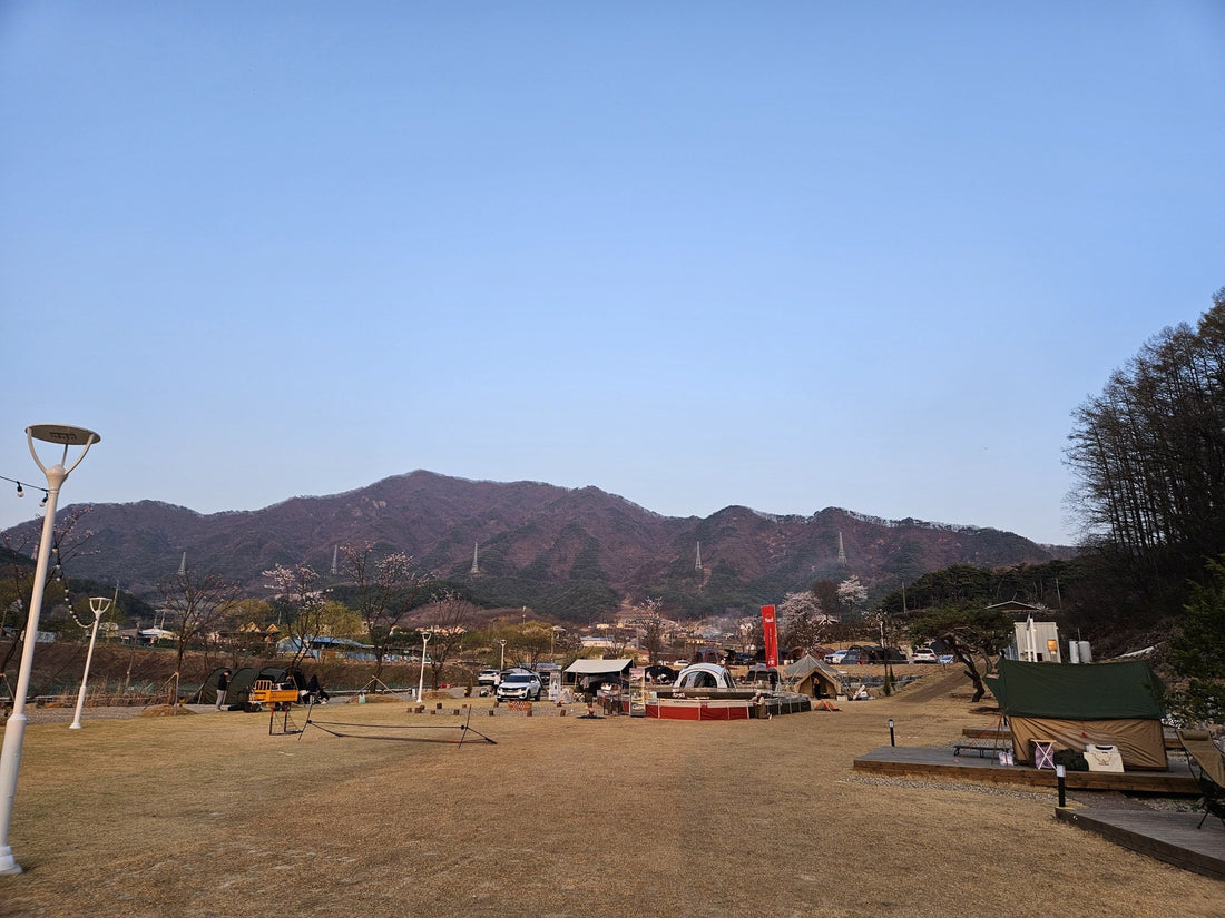 A Dog Camping Weekend in the Korean Hills