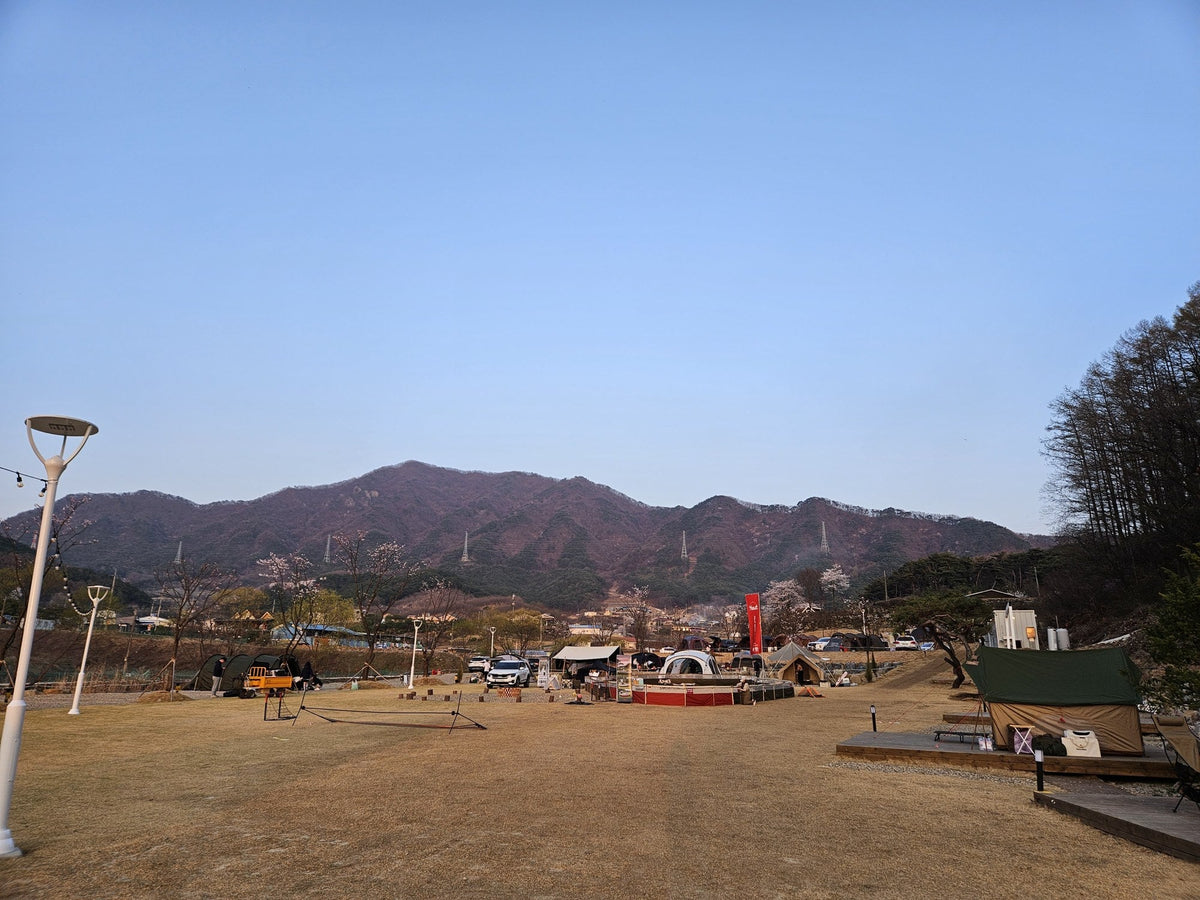 A Dog Camping Weekend in the Korean Hills