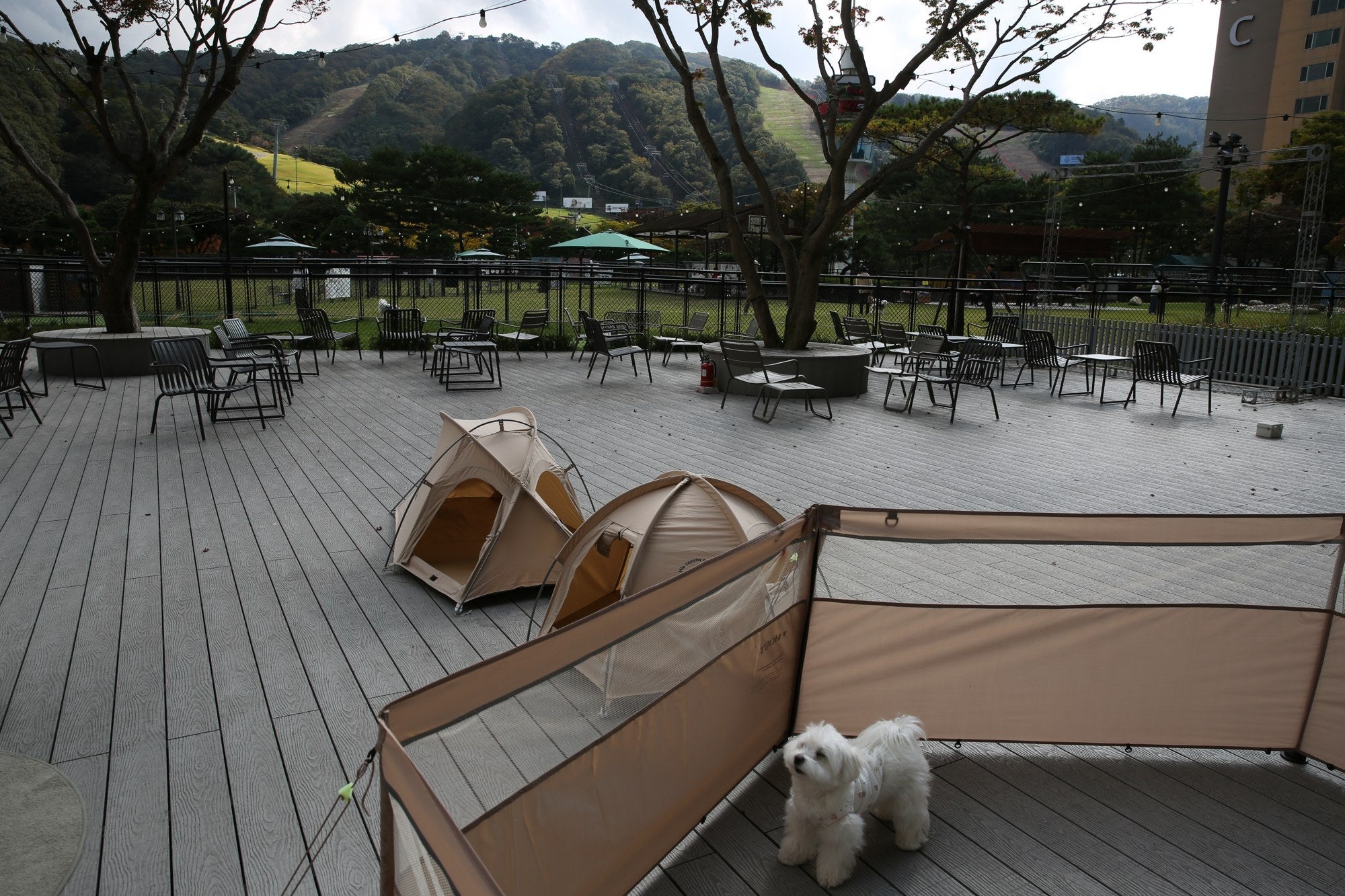Can you set this up on concrete? Here is the honest answer