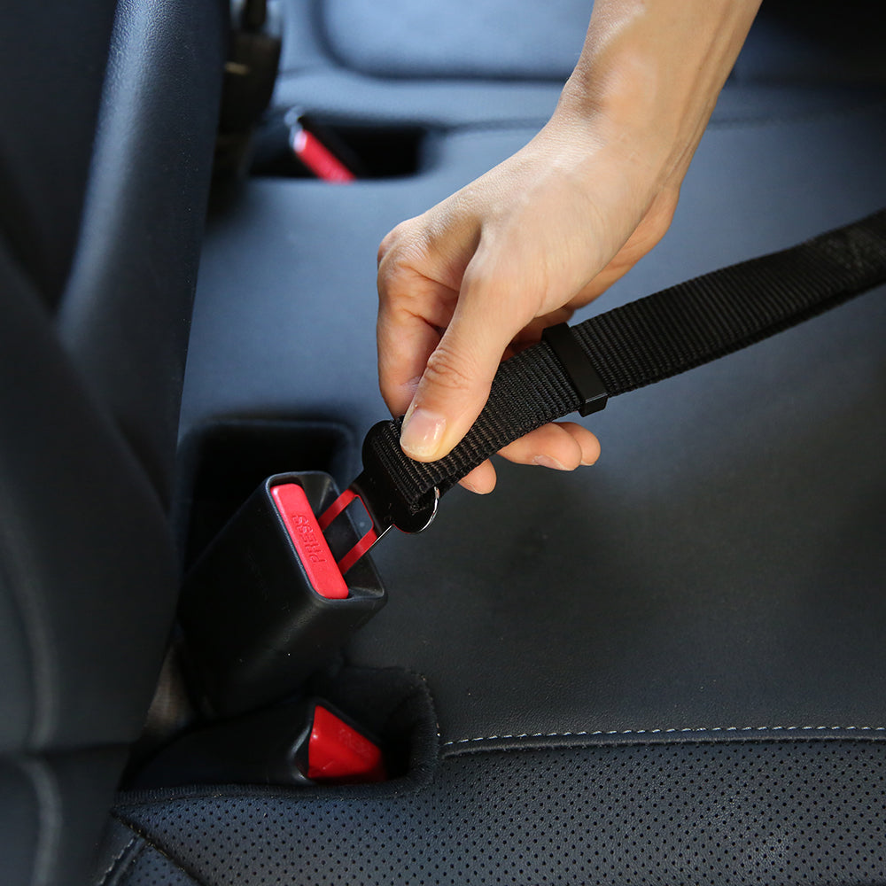 Your Dog's First Road Trip: Preparation and Safety Checklist