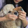 HOUT Facial Wood Comb — Grooming Comb for Dogs & Cats