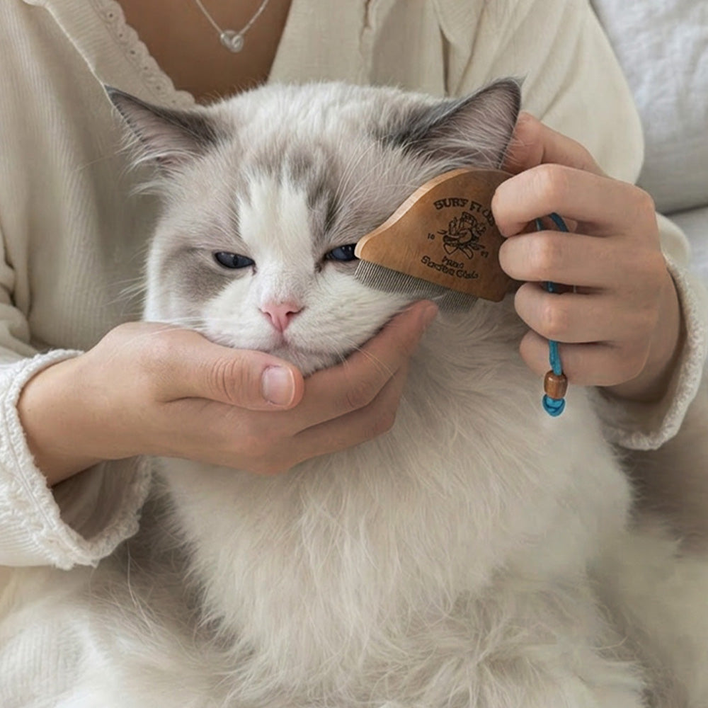 HOUT Facial Wood Comb — Grooming Comb for Dogs & Cats