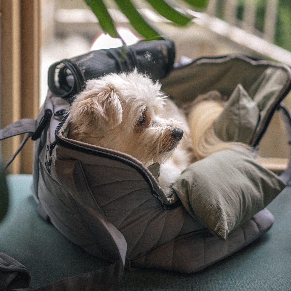 HOUT Air-Fit Quilted Pet Carrier & Sleeve Set for Small Dogs