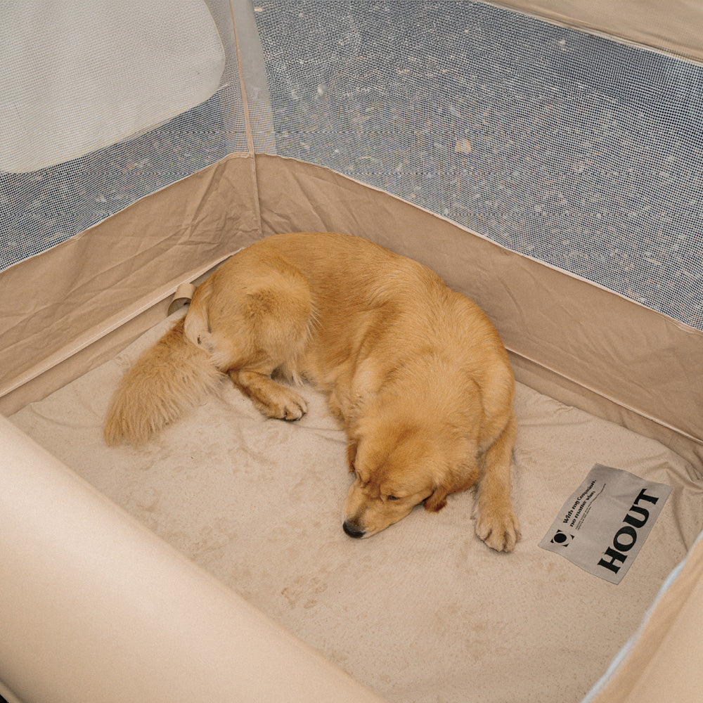 HOUT Cloud Air Fence Room — Inflatable Playpen for Small Dogs