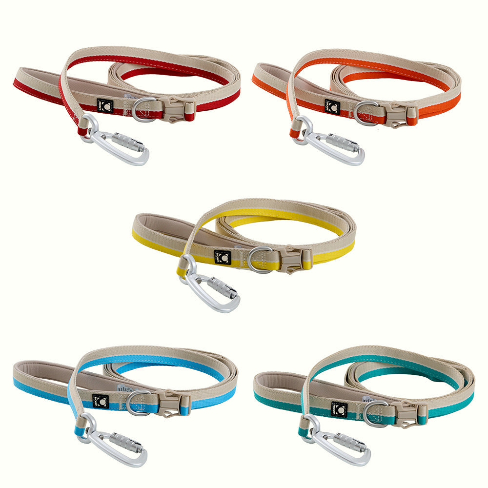 HOUT Safelock Dog Leash — Secure Locking Clasp, 6.6 ft (2 m)