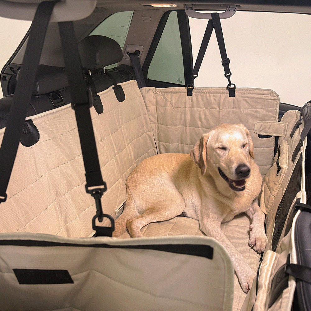 HOUT Full-Cover Dog Car Seat Cover Ver 3.0