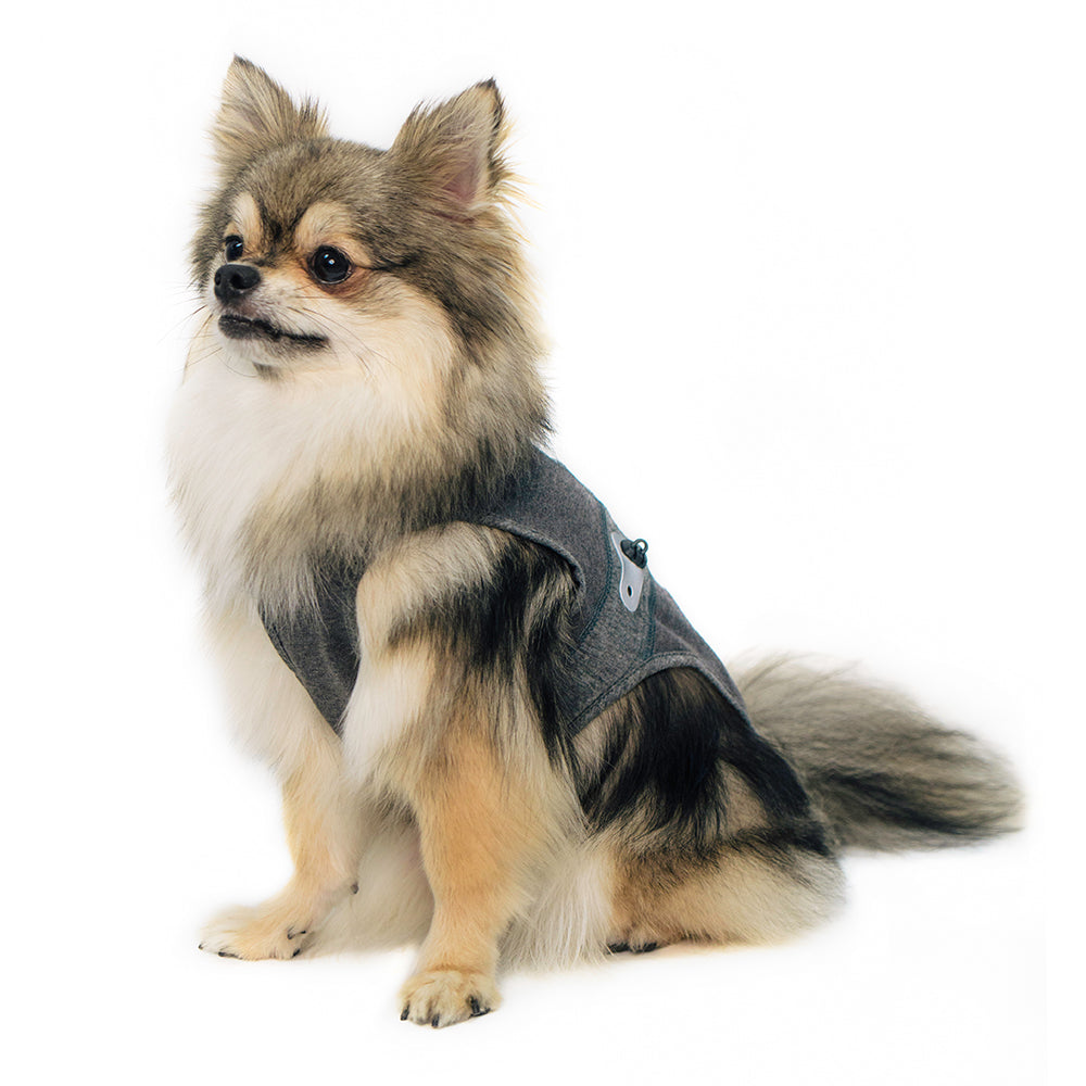 HOUT EcoGuard Sleeveless Tank Top for Dogs — 2 Colors
