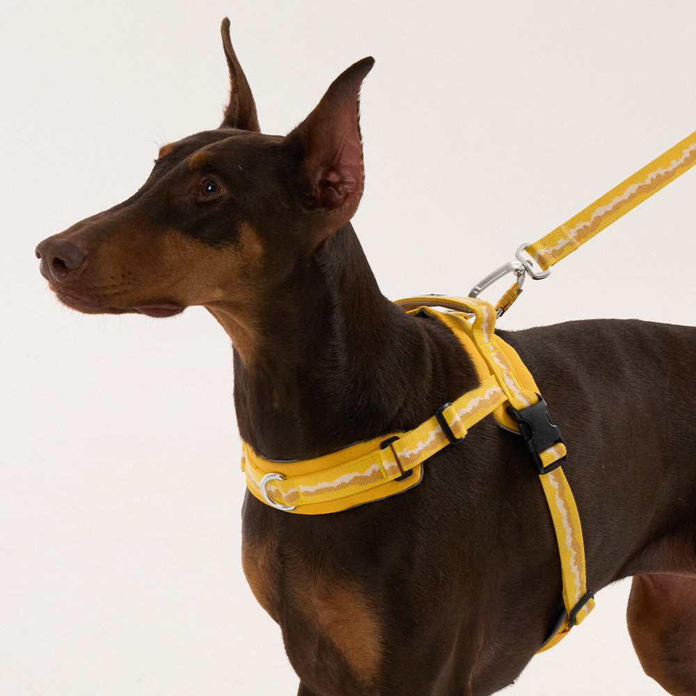 HOUT SYNC Dog Harness — Soft Padded Fit, 5 Colors