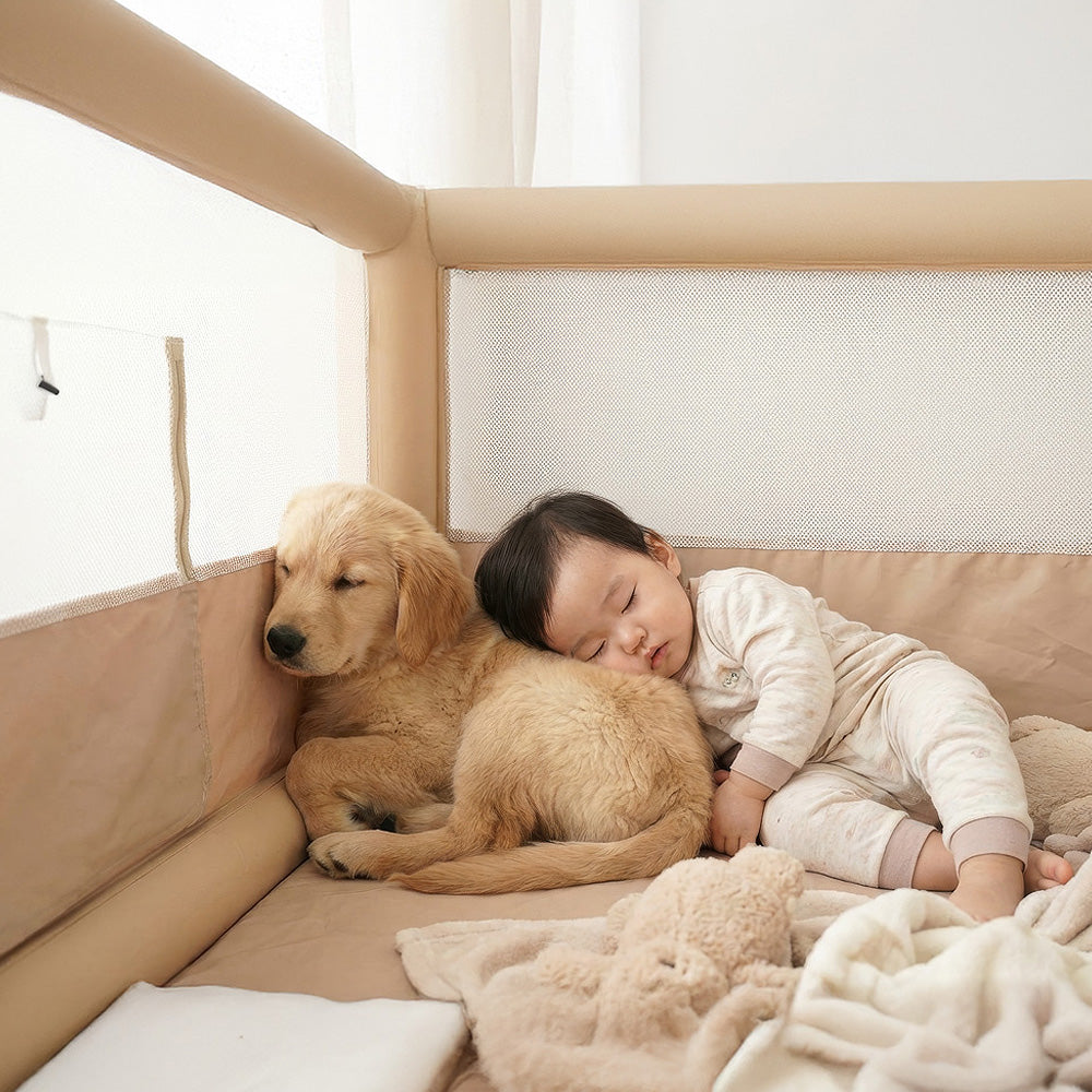 HOUT Cloud Air Fence Room — Inflatable Playpen for Small Dogs
