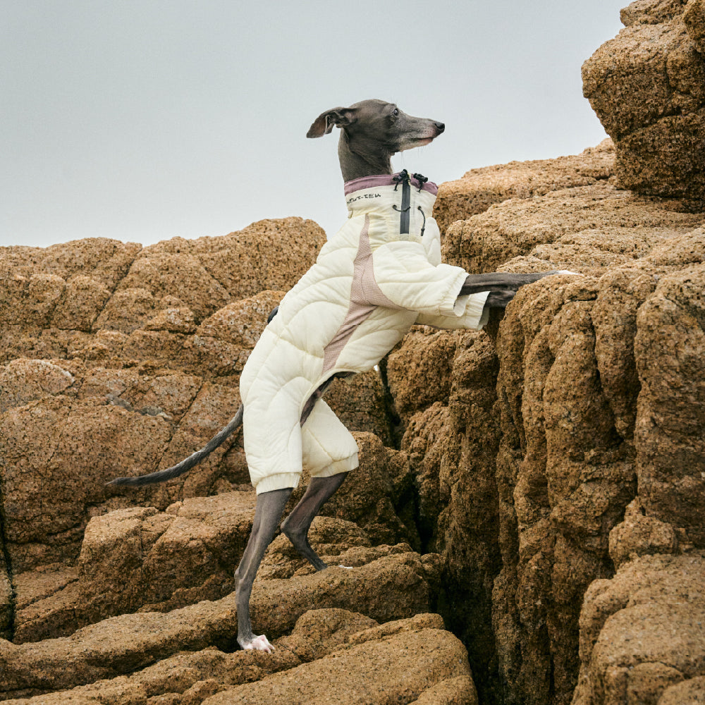HOUT Contour All-in-One Dog Puffer Suit — Full-Coverage Winter Warmth