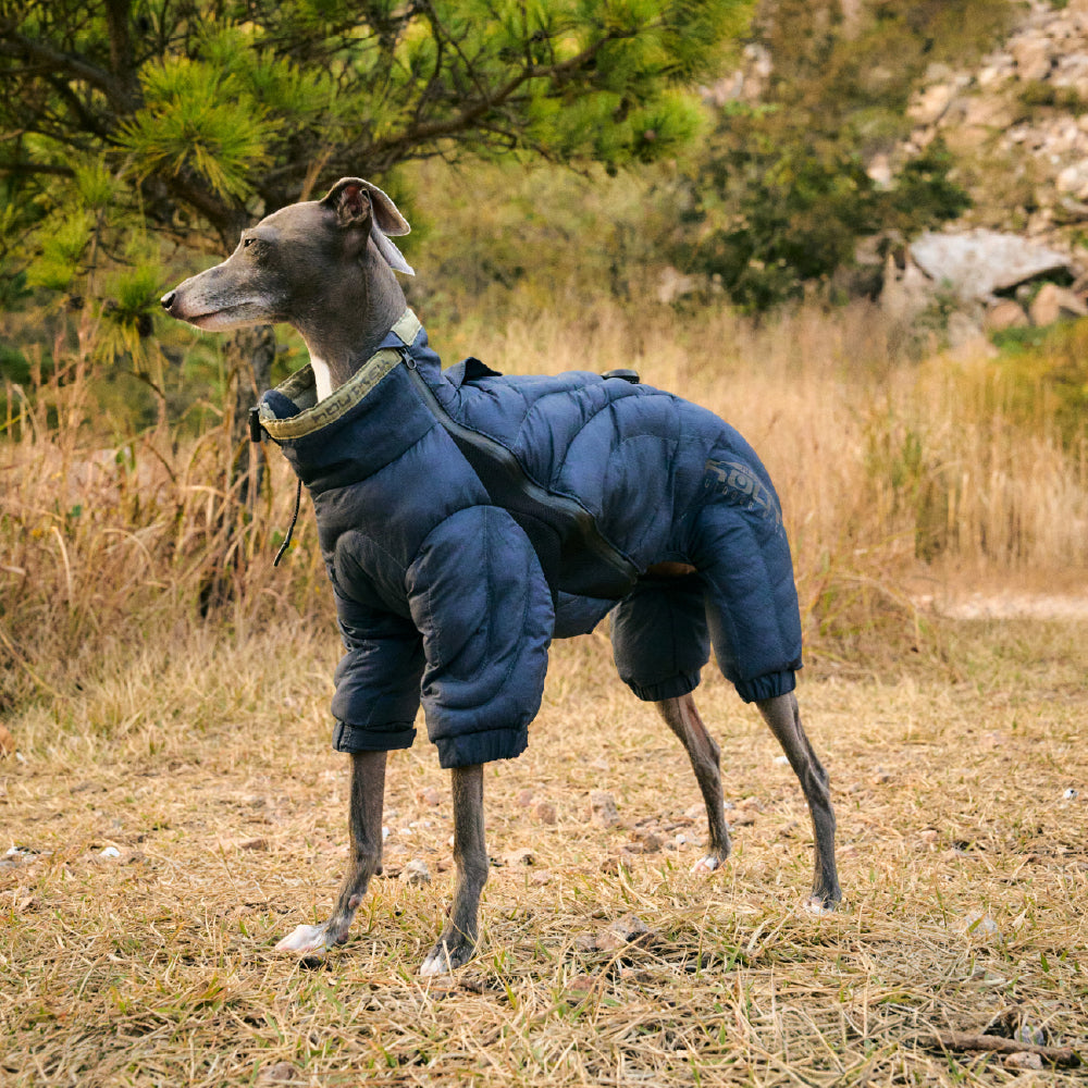 HOUT Contour All-in-One Dog Puffer Suit — Full-Coverage Winter Warmth