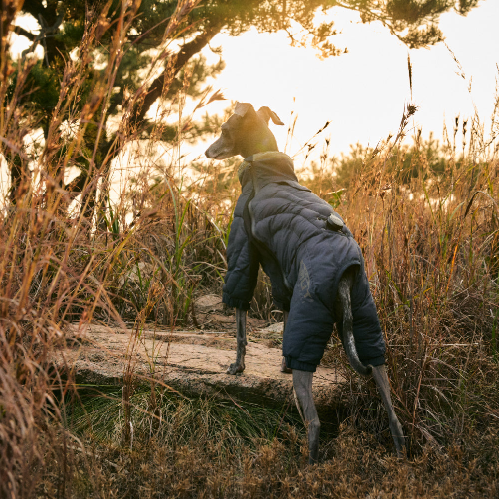 HOUT Contour All-in-One Dog Puffer Suit — Full-Coverage Winter Warmth