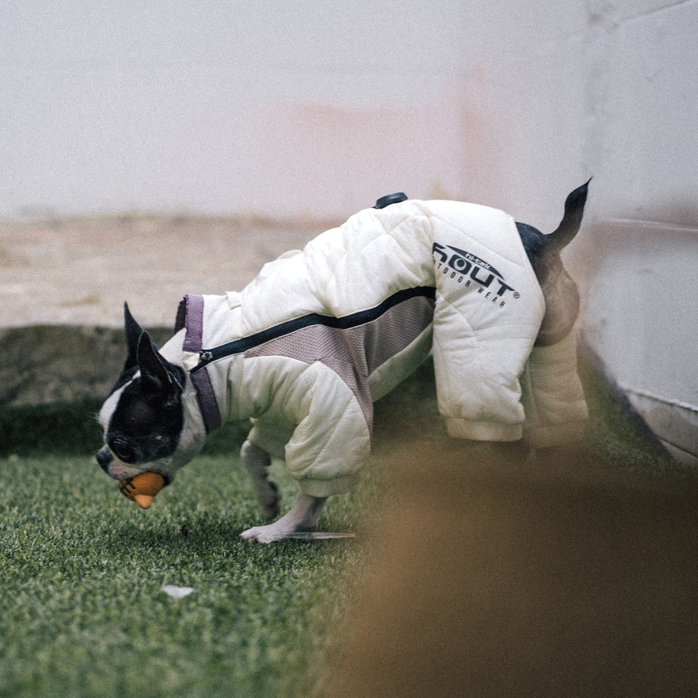 HOUT Contour All-in-One Dog Puffer Suit — Full-Coverage Winter Warmth