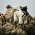 HOUT Contour All-in-One Dog Puffer Suit — Full-Coverage Winter Warmth
