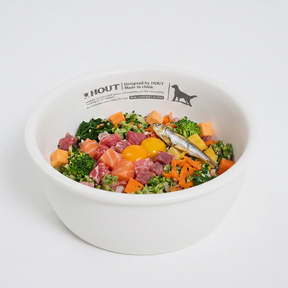 HOUT Ceramic Pet Bowl — 18.6 fl oz (550 ml), Single