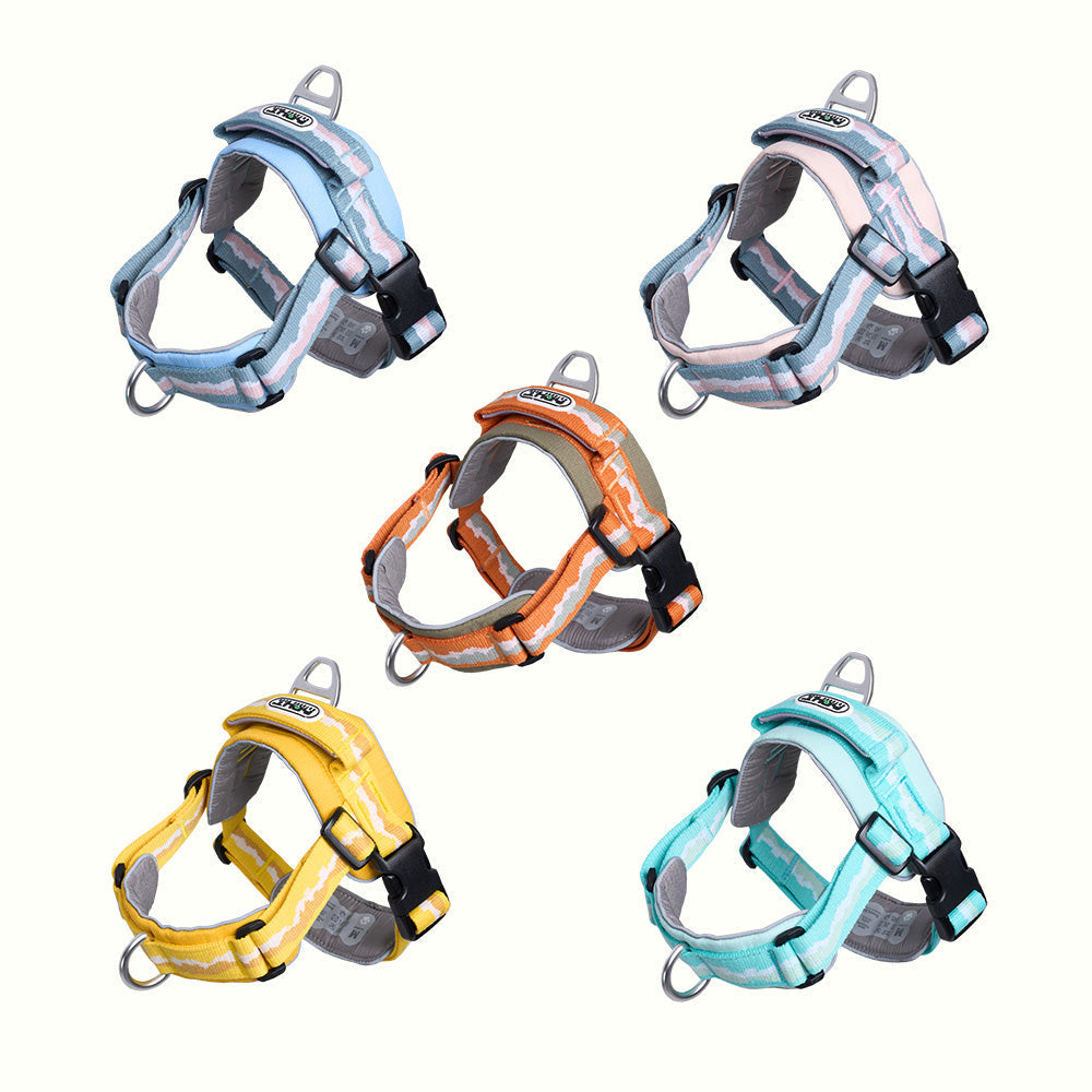 HOUT Adventure Walk Set — SYNC harness