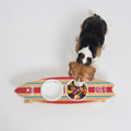 HOUT Surfboard Twin Bowl Dog Feeder — elevated wooden stand with 2 ceramic bowls