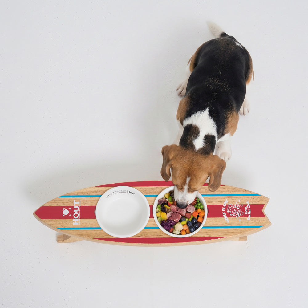 HOUT Dog Surfboard — Twin PE Density Set for Water Play & Camping