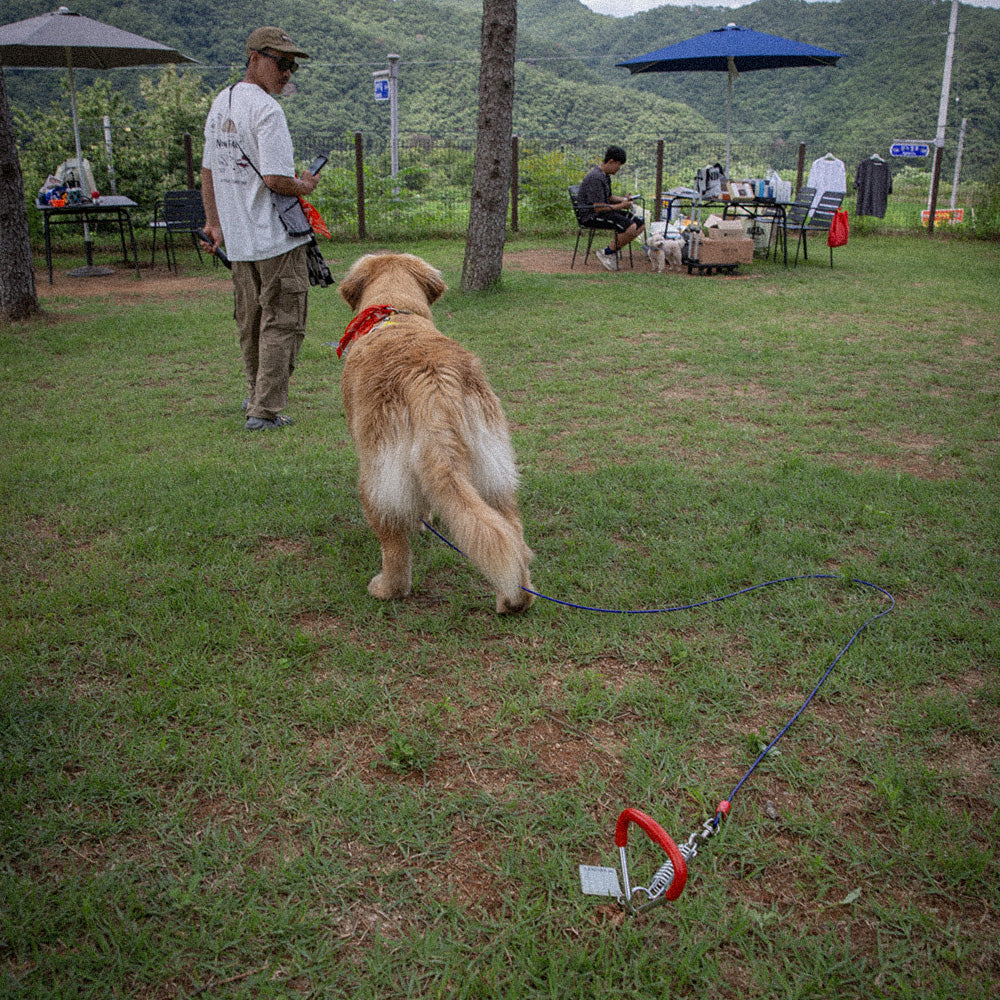 HOUT Groundie Dog Parking — Shock-Absorbing Tie-Out Stake for Dogs