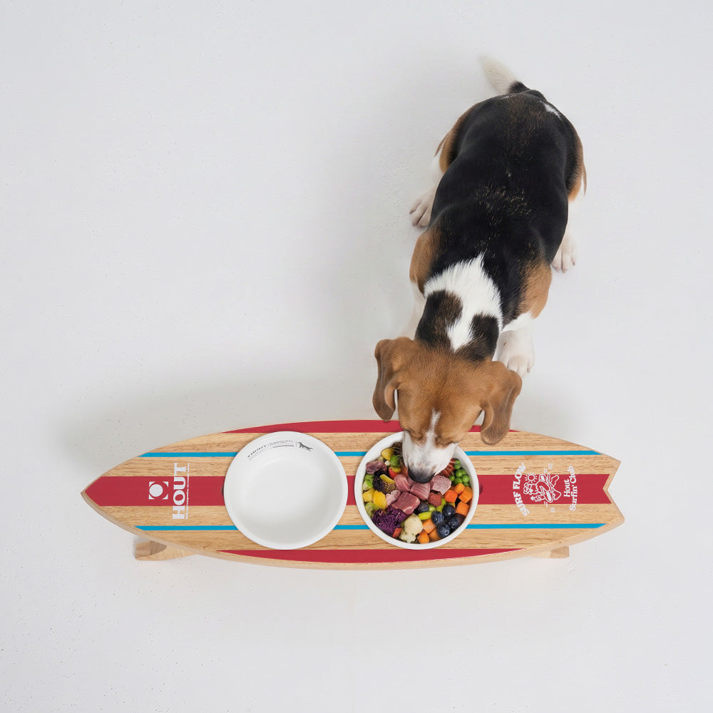 HOUT Ceramic Pet Bowl — 18.6 fl oz (550 ml), Single