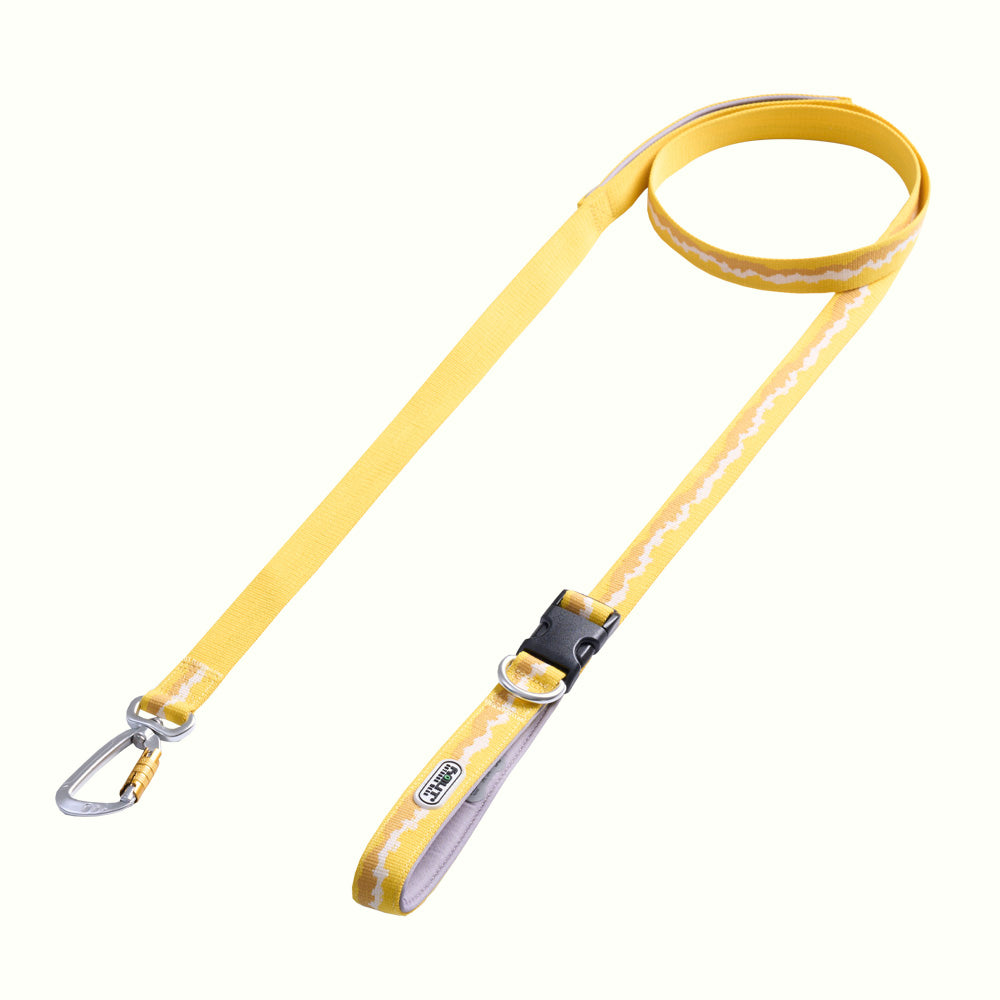 HOUT SYNC Dog Leash — 100% Cotton, 5 Colors