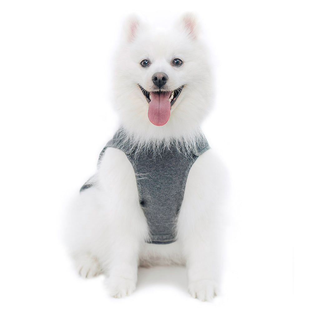 HOUT EcoGuard Sleeveless Tank Top for Dogs — 2 Colors