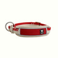 HOUT Safelock Dog Collar — Secure Locking Buckle