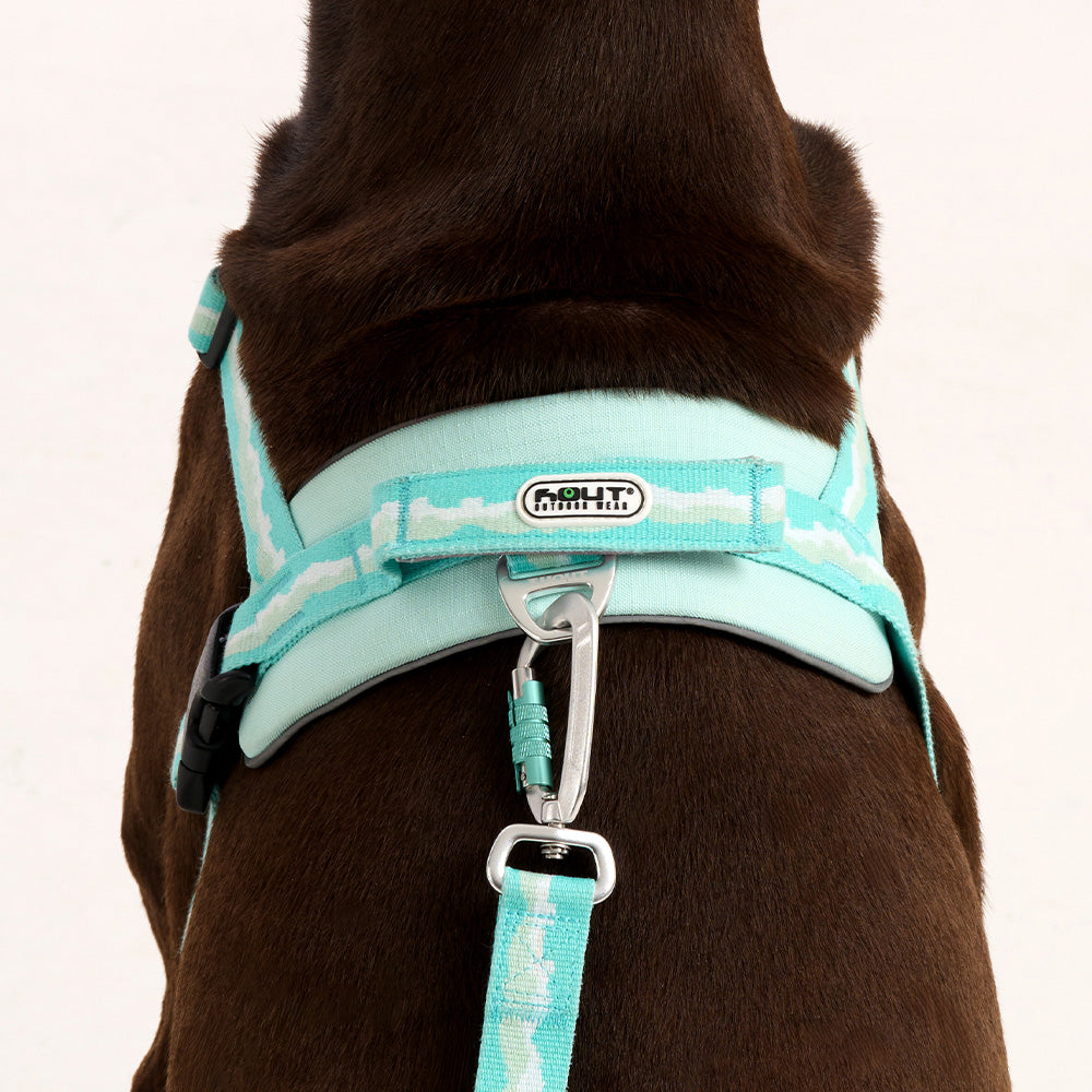 HOUT SYNC Dog Harness — Soft Padded Fit, 5 Colors