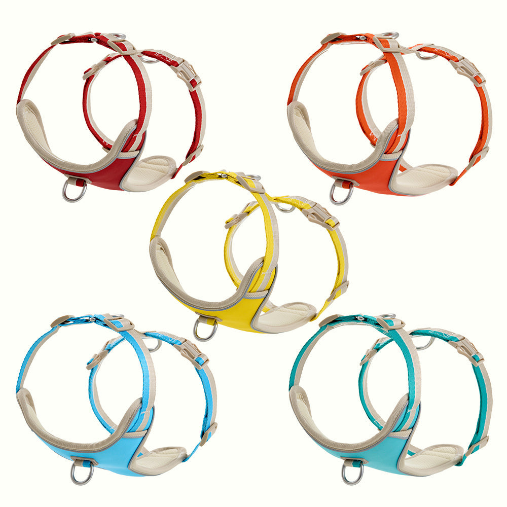 HOUT Safelock Dog Harness — Secure Locking Buckle