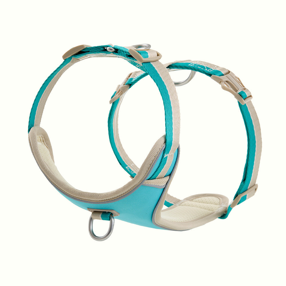 HOUT Safelock Dog Harness — Secure Locking Buckle