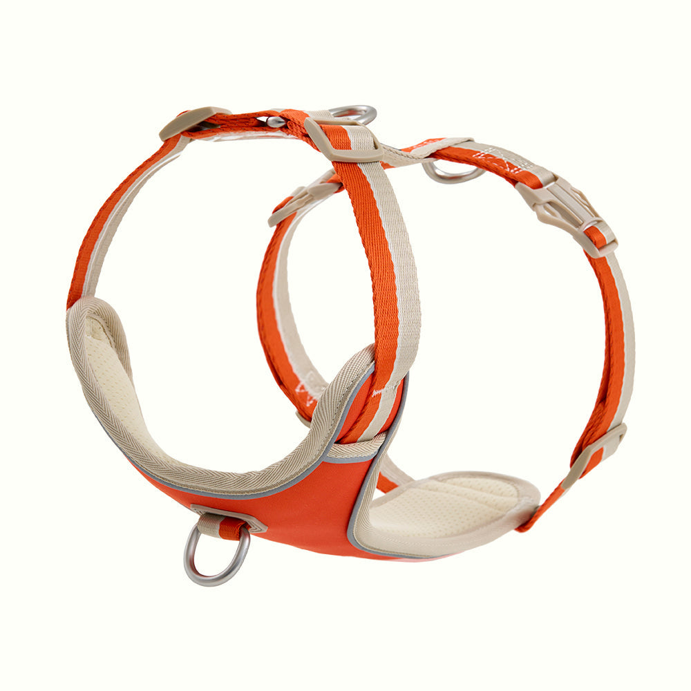 HOUT Safelock Dog Harness — Secure Locking Buckle