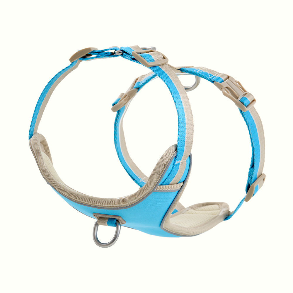 HOUT Safelock Dog Harness — Secure Locking Buckle
