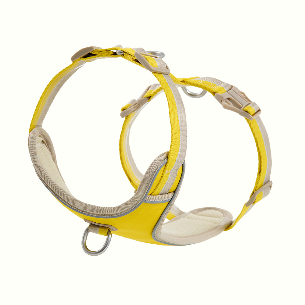 HOUT Safelock Dog Harness — Secure Locking Buckle