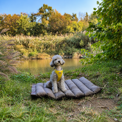 GO HOUT Multi Pet Stroller Cushion — Custom-Fit Replacement Pad