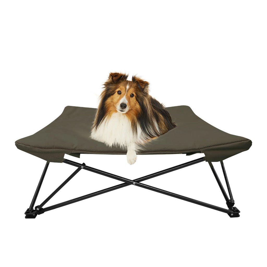 HOUT Dog Cot — Elevated Dog Bed in Oxford & Mesh, 2 Sizes