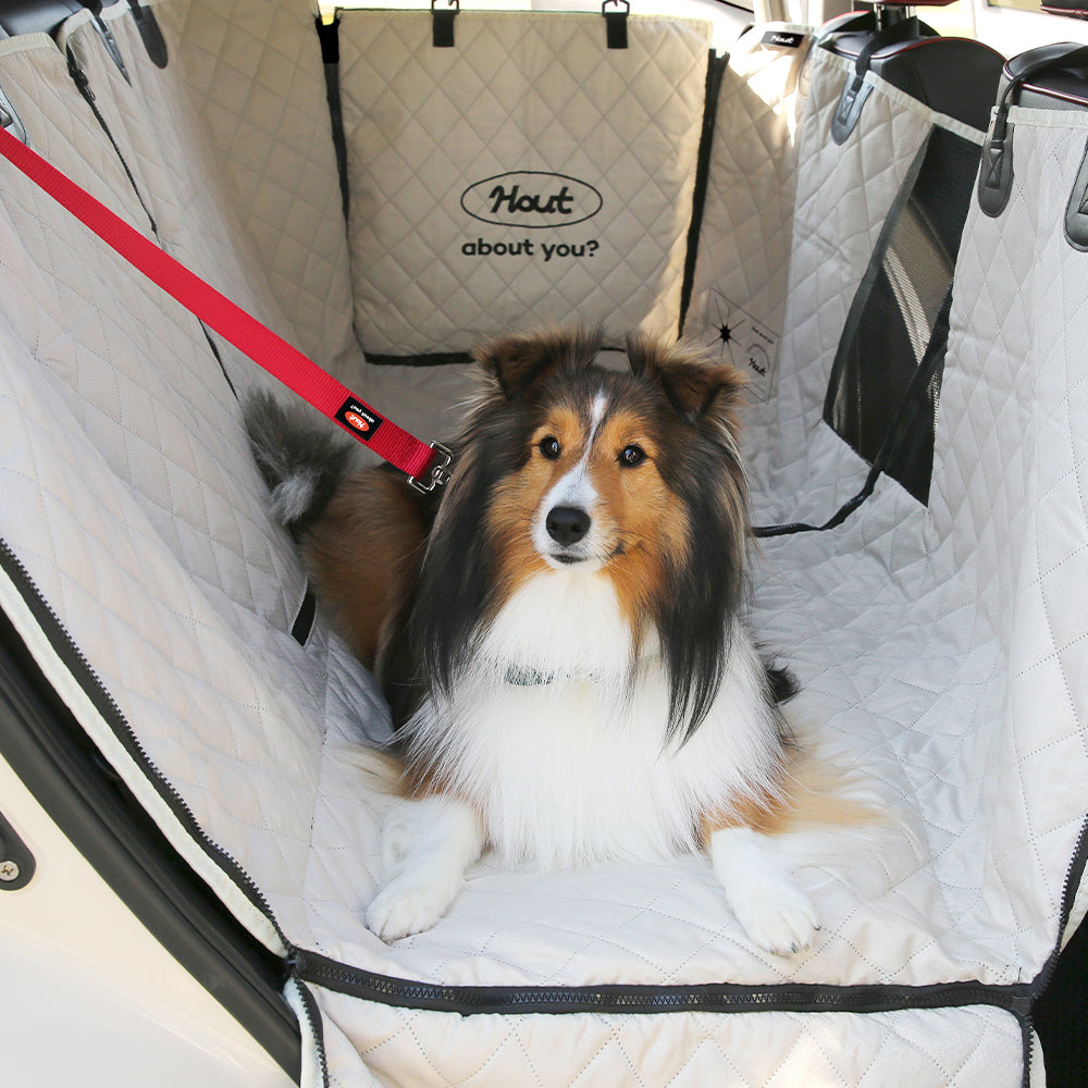 HOUT Dog Seat Belt Tether — Headrest Mount, 6 Colors