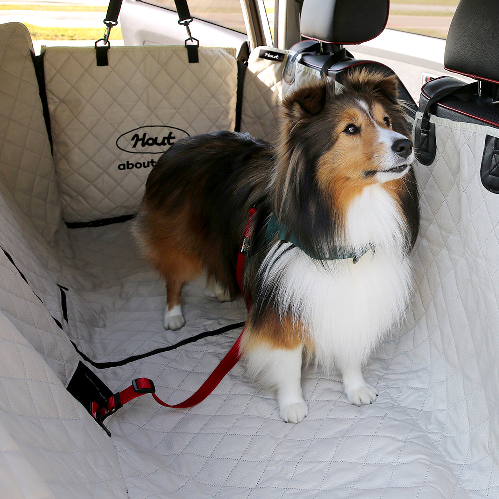 HOUT Dog Seat Belt Tether — Clip-In, 4 Colors