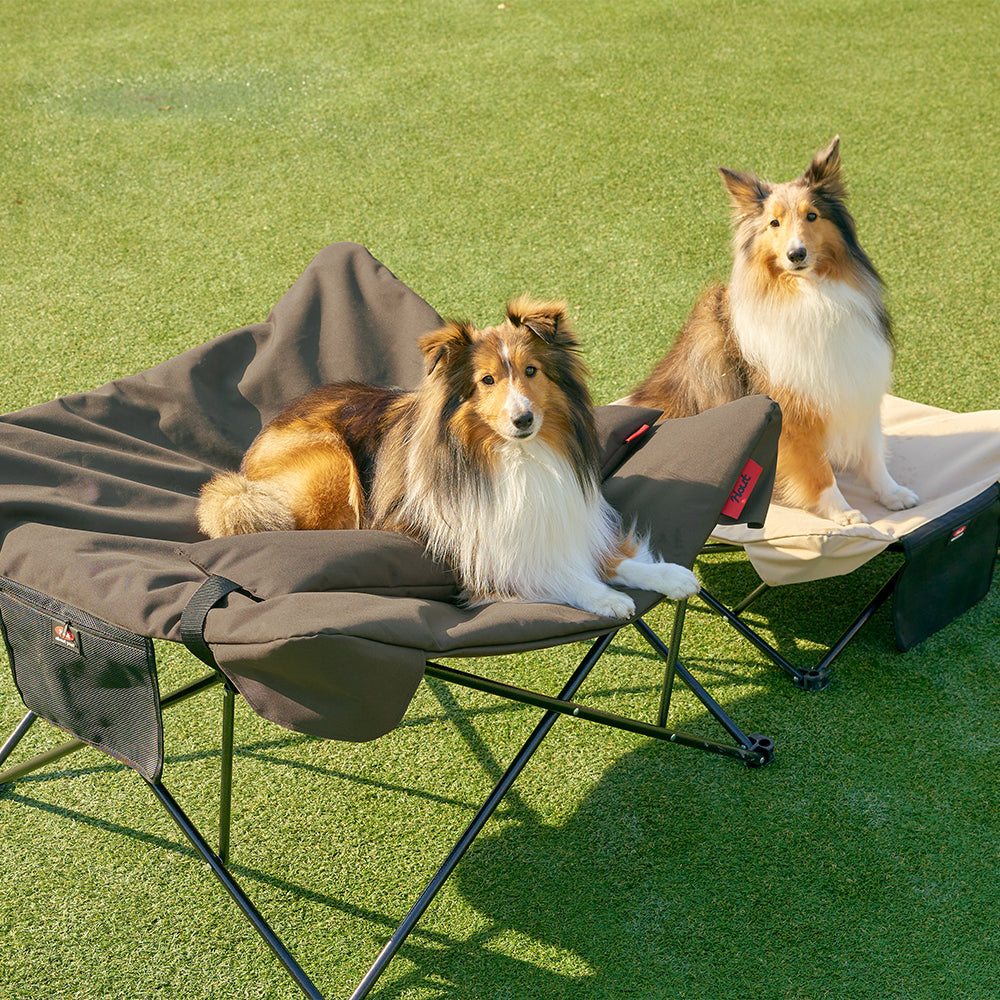 HOUT Dog Cot — Elevated Dog Bed in Oxford & Mesh, 2 Sizes