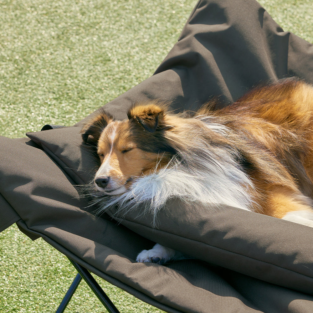 HOUT Dog Cot — Elevated Dog Bed in Oxford & Mesh, 2 Sizes