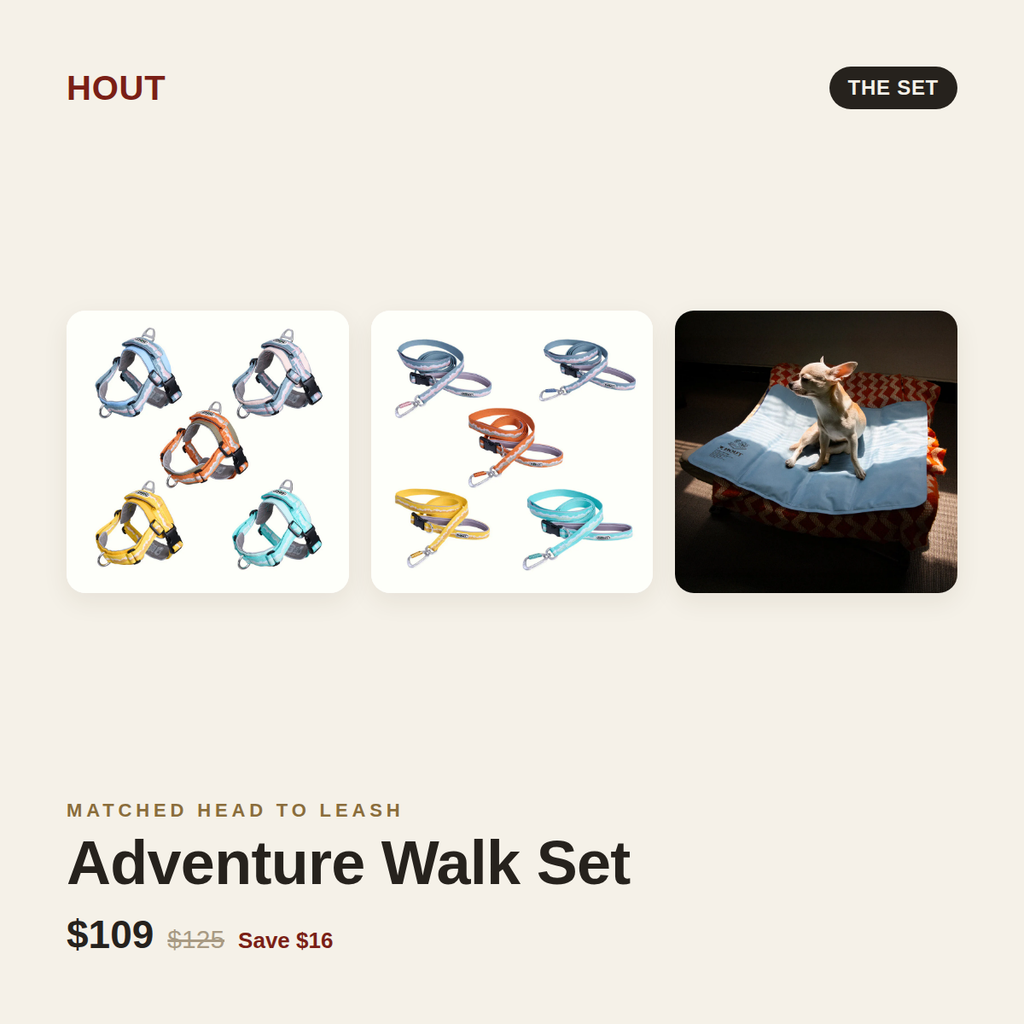 HOUT Adventure Walk Set