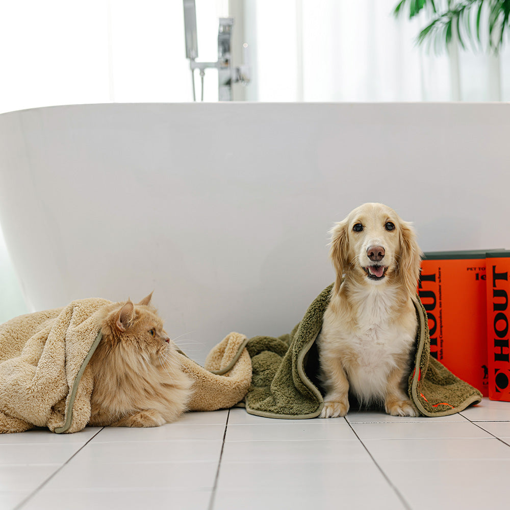 HOUT Cozy Pet Towel for Dogs & Cats — Large, Quick-Dry